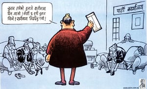 Poll toons