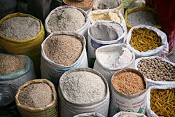 Dhido economy