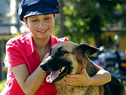Kathmandu’s dog day afternoons