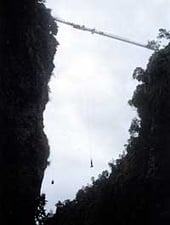 Life in free fall