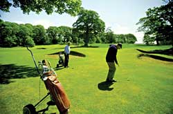 Golf is in