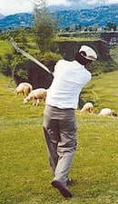 Vertical golf