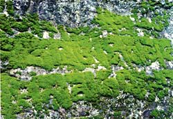 Namche looks forward to lively autumn