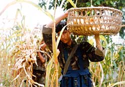 No recruitment problem in Bardiya