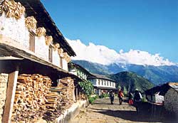 Close encounters with Maoists