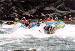 A Himalayan challenge
