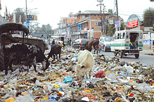 Nepal's urban dystopia