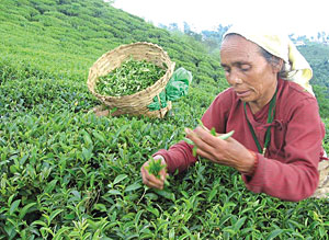 Tea break