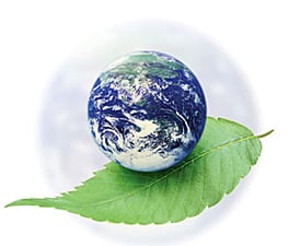 The big green jobs machine