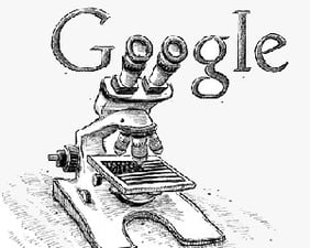The search for quality on the web