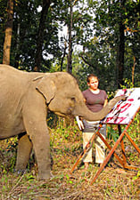 Pachyderm masterpieces