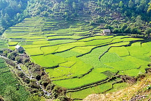 The old road to Kathmandu