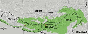A Himalayan treasure trove