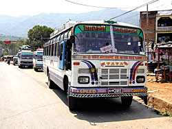 Transport thugs