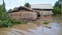 Intensifying food crisis