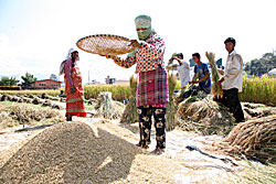A breakthrough against hunger