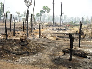 Ashes to ashes