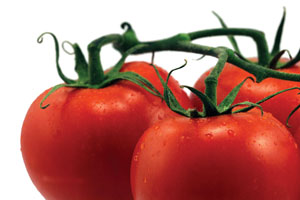 Fad for foodies