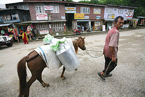 Milking it