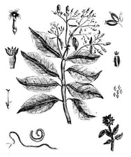 Beating malaria with a stick