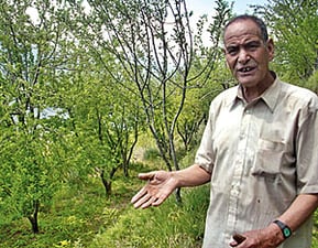 Farming Karnali