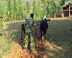 Khukuris to ploughshares