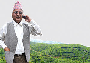 Guru of tea