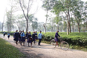 How to achieve a 100 per cent pass rate in the SLC