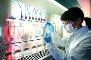 Aspirin therapy needs guidelines