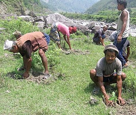 Seeds of hope