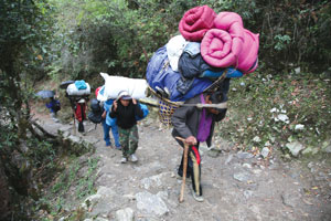 Sick porters