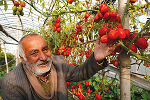 The gentleman farmer