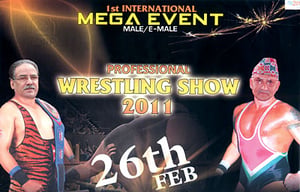 Political wrestling