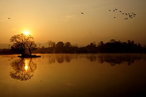 Spring sunrise