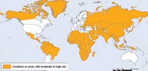 Deadly Hepatitis E