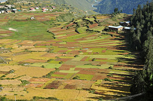 Feeding the Karnali