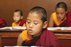 Ani's school