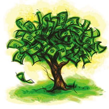 Ecology is economics