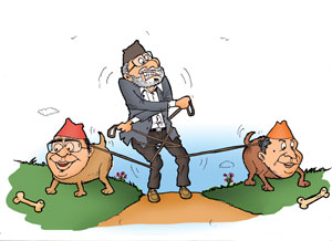 Power politics, Nagarik