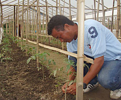 Organic cooperative, Annapurna Post