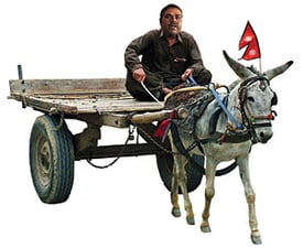 Get on with it, Tonga