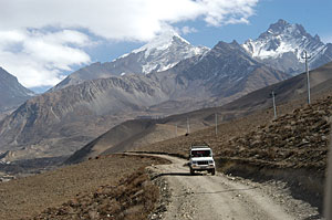Mustang in Mustang