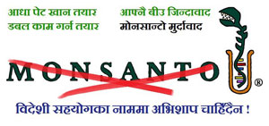 Why Monsanto?