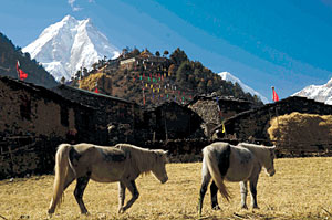 Soul mountain