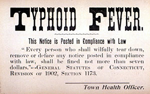 New hope for typhoid