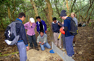 Ground-level research