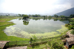 "Wetlands are not wastelands"