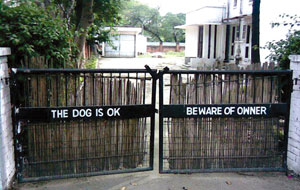Country going to the dogs