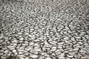 No government, no irrigation