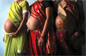 Renting a womb